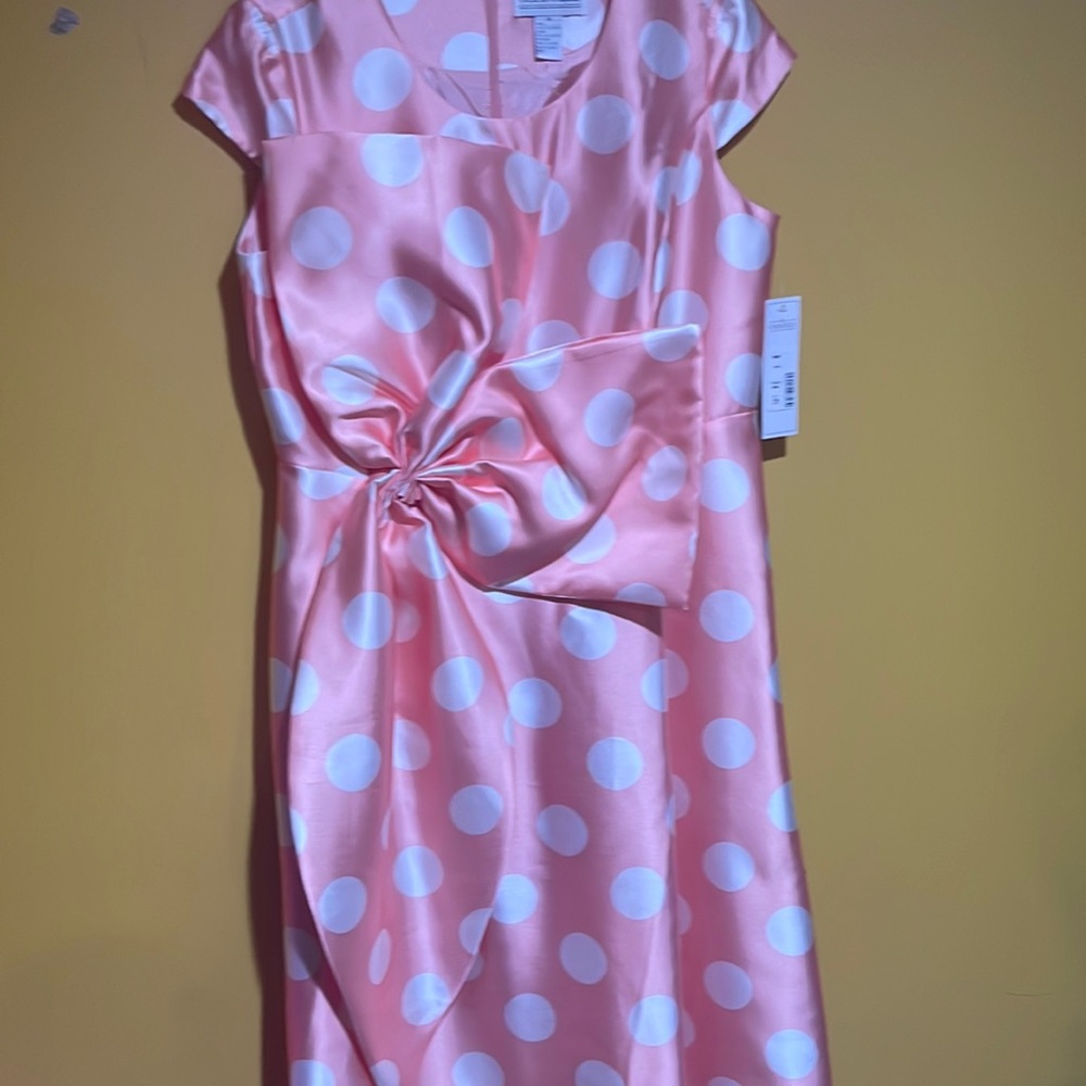 Brand New Chancele Women’s Dress